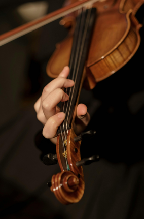 Violino